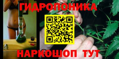 ПСИЛОЦИБИНОВЫЕ ГРИБЫ Будённовск
