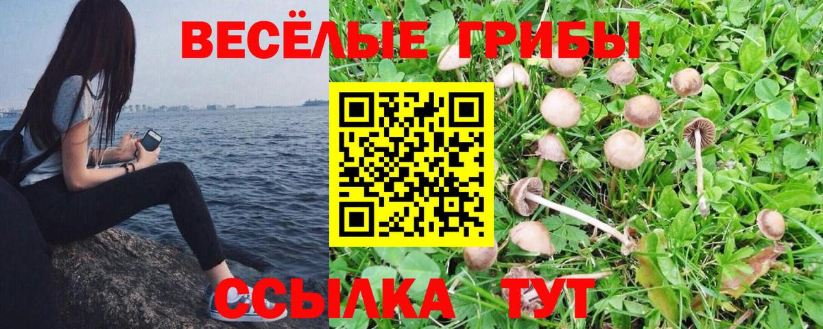 Псилоцибиновые грибы Magic Shrooms Новокузнецк